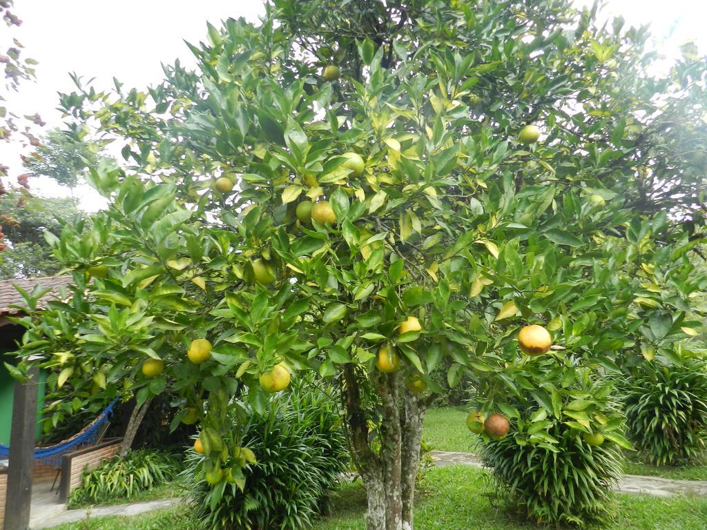 Inn Recanto Do Pinheirao Visconde De Maua
