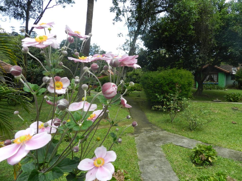 Recanto Do Pinheirão Visconde De Maua